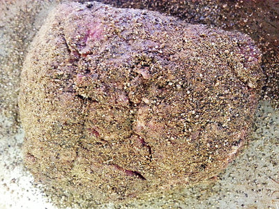20130627_190411.jpg (230.16 KiB) Viewed 3956 times Kicked it around the backyard for half an hour